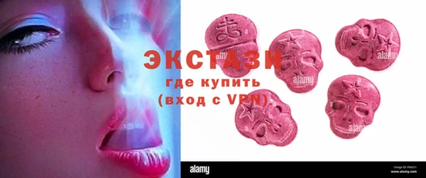 СК Богородицк