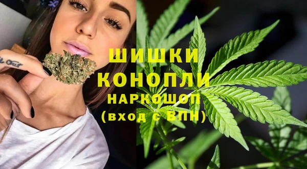 бошки Богданович