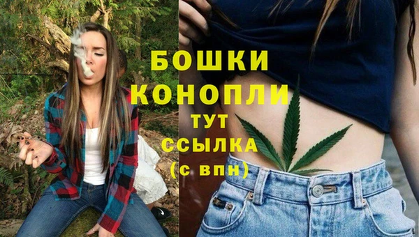 СК Богородицк