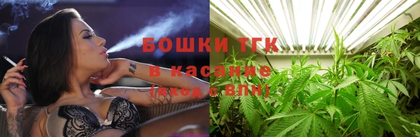 бошки Богданович
