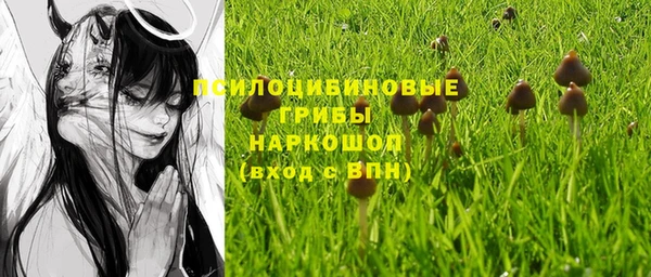 наркотики Богородск